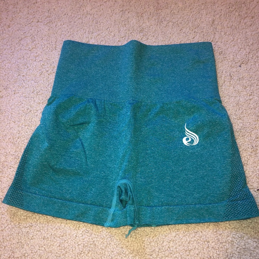 Teal Ryderwear shorts